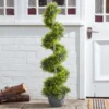 Smart Garden Cypress Topiary Twirl 120 Cm 2 Smart Garden Cypress Topiary Twirl 120 Cm -Garden Decoration Shop 4431817 5605005 2 3 560 40186.1665133280