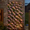 Smart Garden 75 LED Solar In-Lit Pink Blossom Trellis 1 Smart Garden 75 LED Solar In-Lit Pink Blossom Trellis -Garden Decoration Shop 4432133 5604103 2 3 600 79457.1665133281