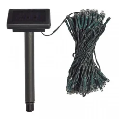 50 Warm White LEDs String Lights