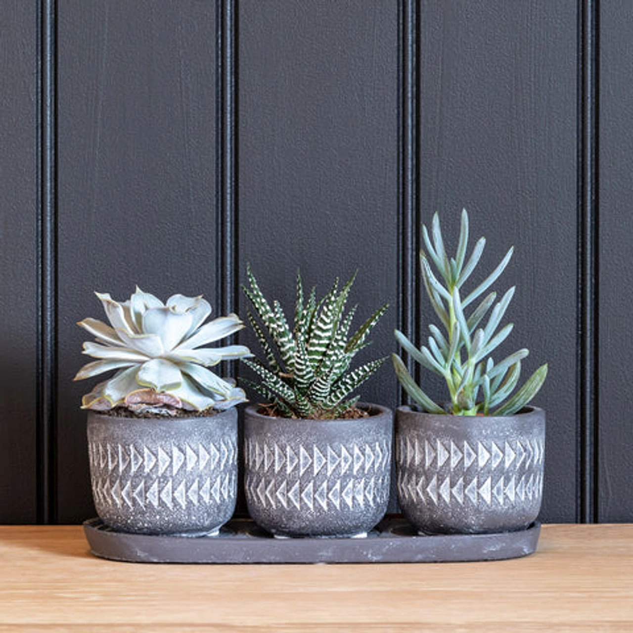 Burgon & Ball Aztec Pots - Set Of 3 With Tray Indoor Plant Pots 4 Burgon & Ball Aztec Pots - Set Of 3 With Tray Indoor Plant Pots - Image 2