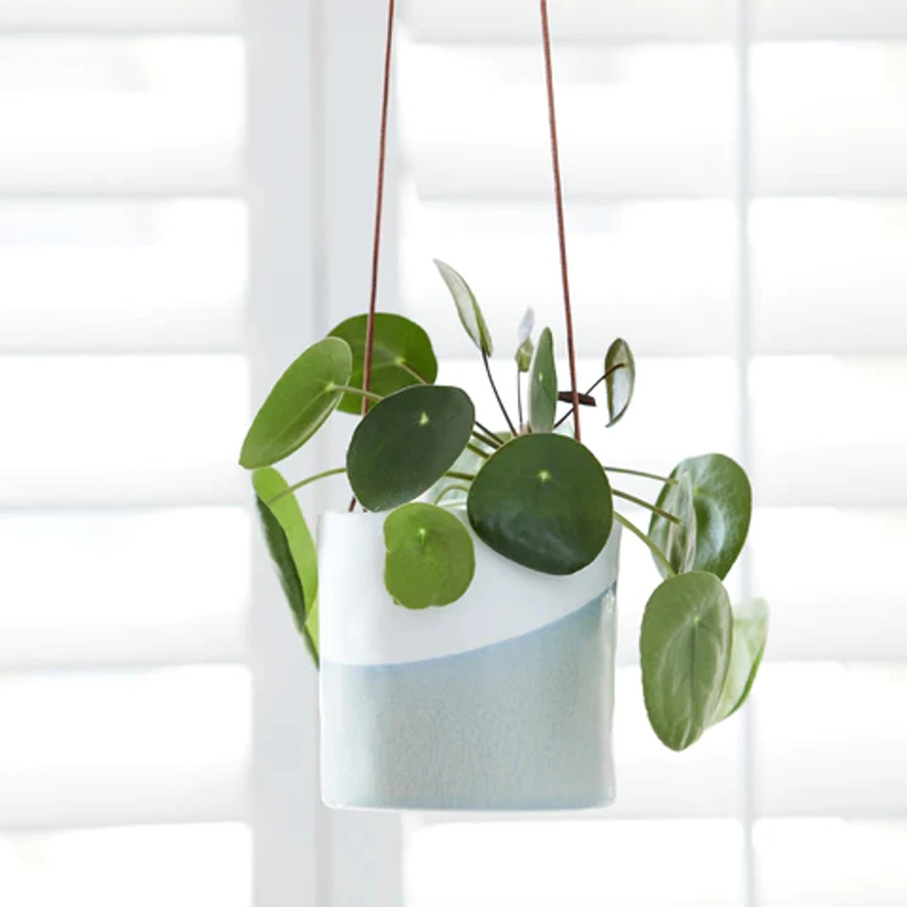 Burgon & Ball Dip Ceramic Hanging Plant Pot 4 Burgon & Ball Dip Ceramic Hanging Plant Pot - Image 2