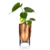 The Little Botanical Monstera In Copper Bullet Stand House Plant 1 The Little Botanical Monstera In Copper Bullet Stand House Plant -Garden Decoration Shop PHOBIA0467 58952.1675165109