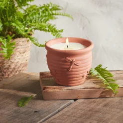 St Eval Nature's Garden Dragonfly Large Keeping It Green Pot 6 St Eval Nature's Garden Dragonfly Large Keeping It Green Pot -Garden Decoration Shop blob 26465.1679673952