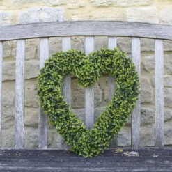 Smart Garden Boxwood Heart