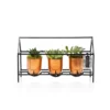 The Little Botanical Copper Trio Succulent House Indoor Plants -Garden Decoration Shop jt22 052 1000x1000 19572.1674737119