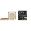 Monsoon Bergamont And Fig Candle 180g -Garden Decoration Shop monsoon bergamot and fig candle 180g 94225.1665133205