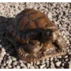 Border Stoneware Large Tortoise -Garden Decoration Shop new project 1010 69092.1665133549