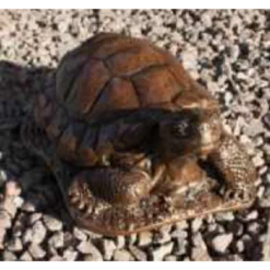 Border Stoneware Large Tortoise