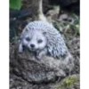 Border Stoneware Small Hedgehog -Garden Decoration Shop new project 1031 73688.1665133545