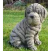 Border Stoneware Shar-Pei Puppy -Garden Decoration Shop new project 1098 13652.1665133551