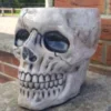 Border Stoneware Skull Planter