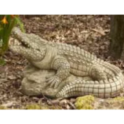Border Stoneware Croc On Rock