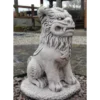Border Stoneware Medium Foo Dog -Garden Decoration Shop new project 806 48078.1665133571