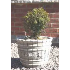 Border Stoneware Star Pot