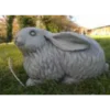 Border Stoneware Lop Eared Rabbit -Garden Decoration Shop new project 980 24496.1665133548