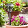 Avant Stake Light 5L, 5pc Carry Pack Display 5L -Garden Decoration Shop pic11 85689.1665133433